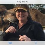 Susan Rowe - @susan.rowe.129 - Instagram