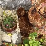 Susan Royston - @royston2441 - Instagram