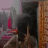 ~? - @susanrumpaidus - TikTok