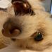 Susan Runyon Powell - Facebook