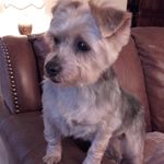 Susan Rutter - @suehelmsdale - Instagram