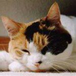 Susan Rutter - @susan.rutter.54 - Instagram
