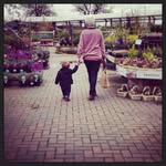 Susan Ryall - @ryall329 - Instagram