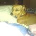 Susan Ryman - Facebook