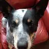 Life’n’Lemons - @susan.rystedt.how - TikTok