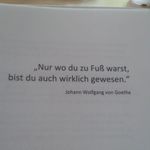 Susanne Salinger - @salingersusanne - Instagram