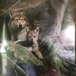 Susan Sandstrom - @sunnysue0855 - Instagram