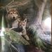 Susan Sandstrom - Facebook