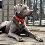 Susan Sandstrom Alfords - @susan_jo - Instagram