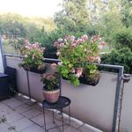 Susanne Sandström - @susanne.sandstrom.779 - Instagram