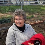 Susan Sanner - @sfsanner - Instagram