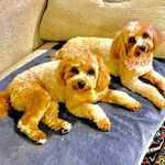 Dr.Sue - @susan.santry - Instagram