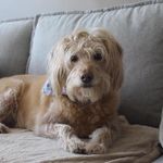Susan Santry Bucklin - @ssantry123 - Instagram