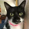 susansappington - @susansappington - TikTok