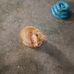 Sue Sauder - Facebook