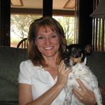 Susan Ellis Schauer - @schauersusan - Instagram
