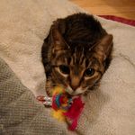 Susan Schauer - @frakes_2669__hank - Instagram