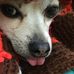 Susan Schauer - Facebook