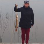 Susan Schauerte - @susanschauerte - Instagram