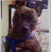 Susan Scheibe - Facebook