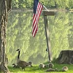 Susan Earley Scheid - @susan.scheid - Instagram