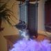 Susan Schonfeld - Facebook