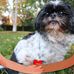 Susan Heins-Schutt - Facebook