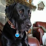 Susan Mills Schutt - @mikeandsue62 - Instagram