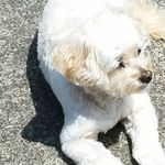 Susan Schutt - @schutt8901 - Instagram