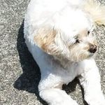 Susan Schutt - @susan.schutt_33 - Instagram