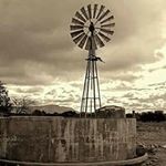 Susan Schutte - @susan.schutte.90 - Instagram