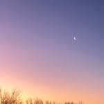 Susan Scribner - @susan_scribner - Instagram