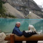 susan scribner - @sjscribner - Instagram