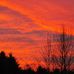 Susan Scribner - Facebook