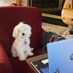 Susan Seay - @suseay1 - Instagram