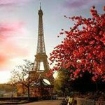Susan Ellis Seibert - @parislover89 - Instagram