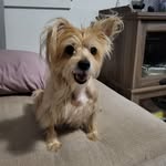 Susan Seibert - @susan.seibert.14 - Instagram