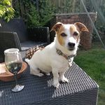 Susan Sergeant - @sergeantsusan - Instagram