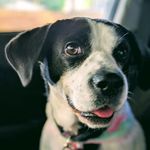 Susan Sergeant - @sksergeant - Instagram