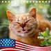 Susan Severance - Facebook