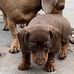 Susan Seward - Facebook