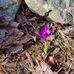 Susan Sharkey - Facebook