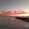 susansharkey25 - @susansharkey25 - TikTok