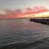 susansharkey69 - @susansharkey69 - TikTok