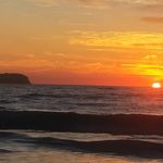 Susan Sheedy - @homebudgewoi - Instagram