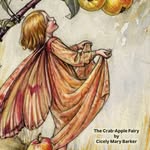 Susan Shellenberger - @sueshell99 - Instagram