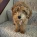 Susan Shelly - Facebook