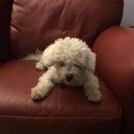 Susan Shimp Torok - @susan.s.torok - Instagram
