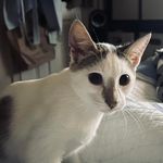 Susan Shinn - @shinn.susan - Instagram