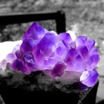 Susan Shrader - @susan.shrader.7 - Instagram